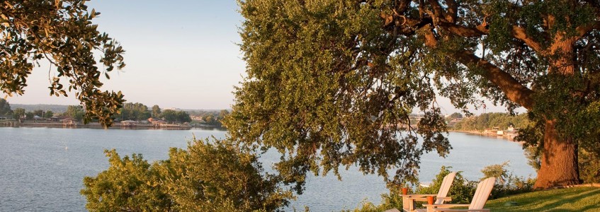 Two chairs sitting beneath a tree at the edge of a lake