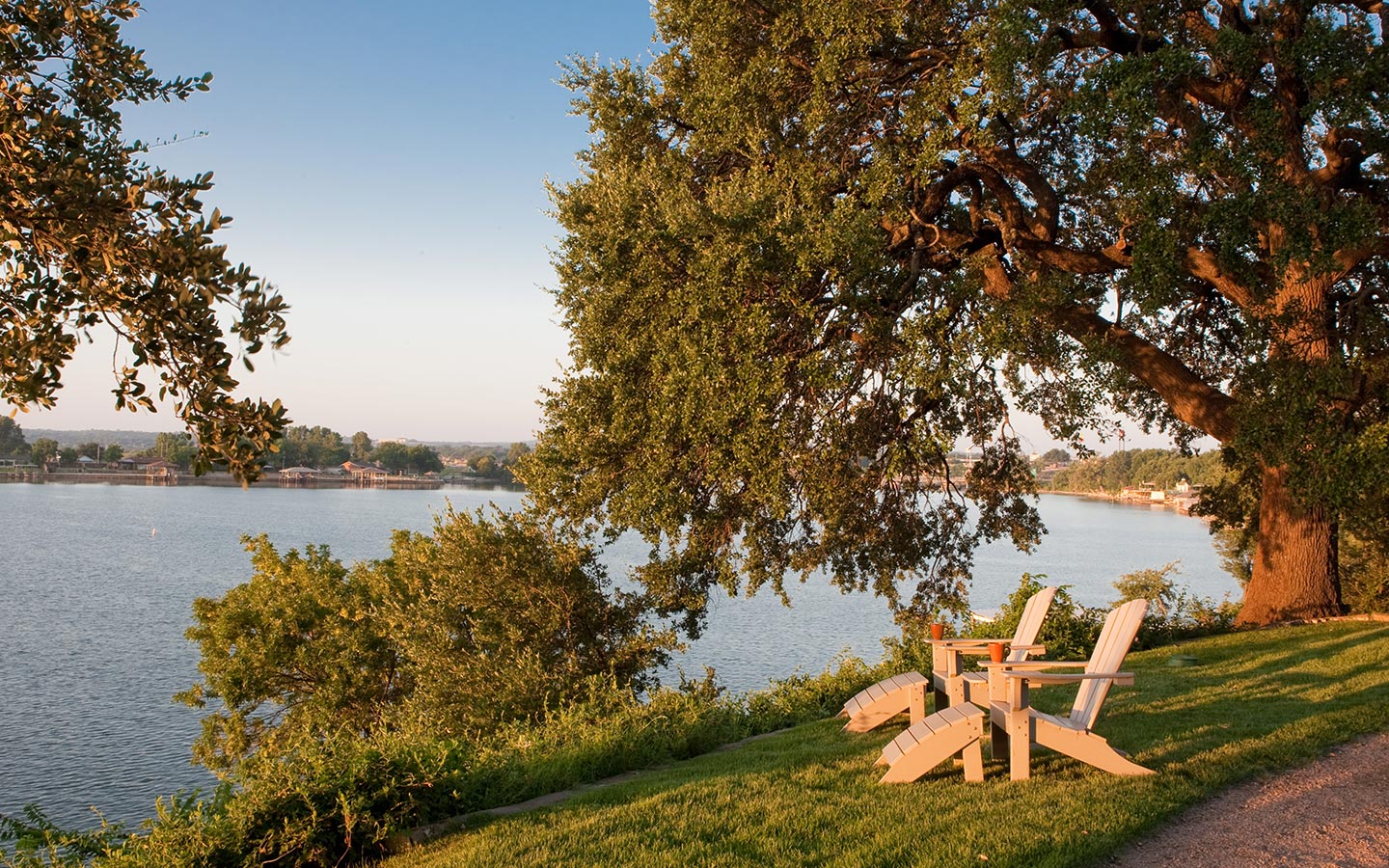 Two chairs sitting beneath a tree at the edge of a lake