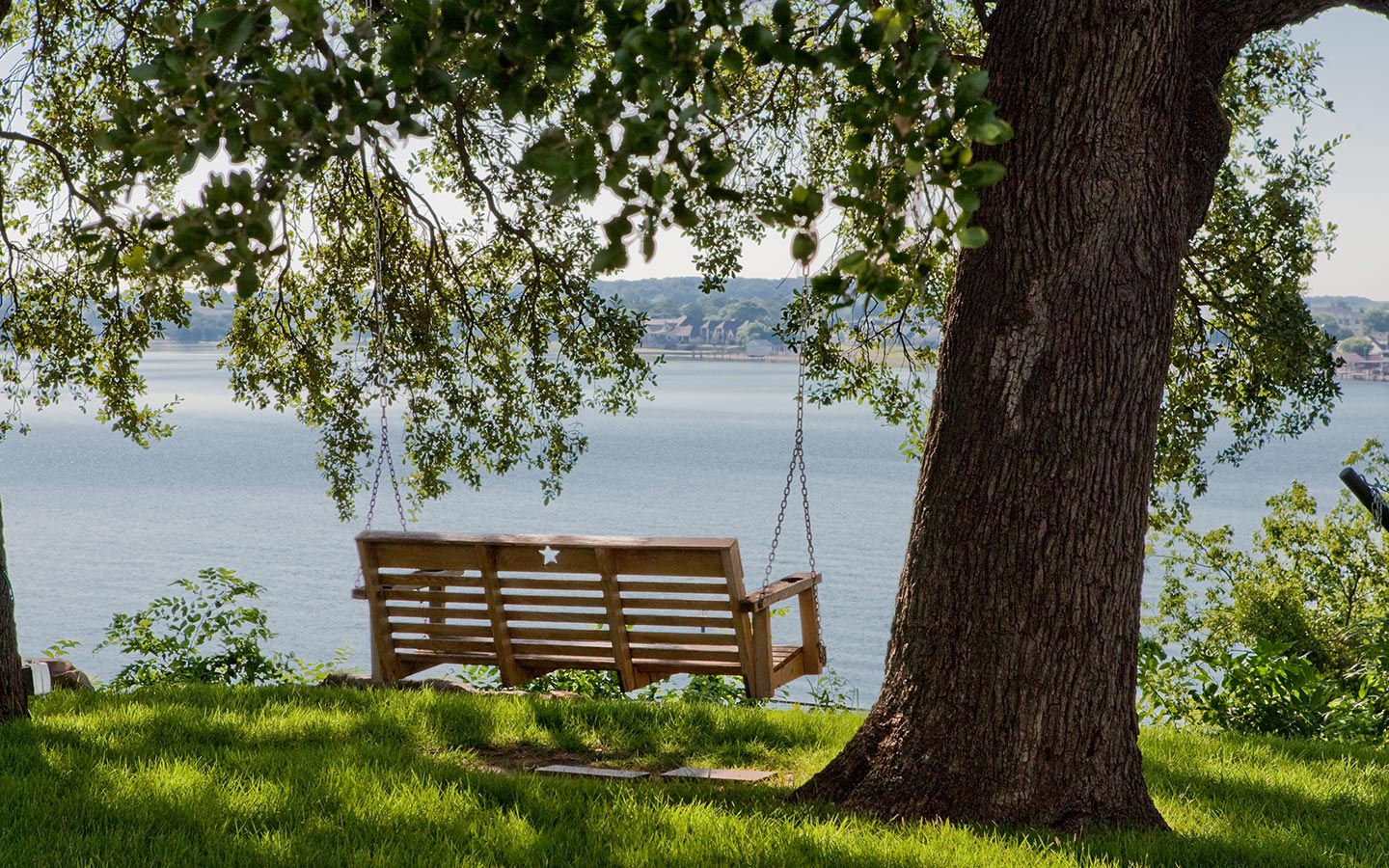 A bench handing from a tree branch