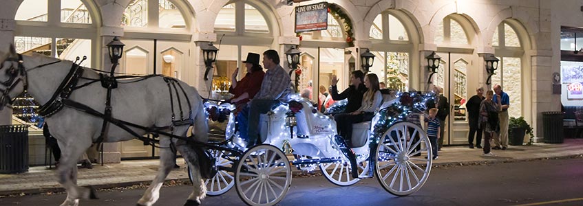 Horse drawn carriage