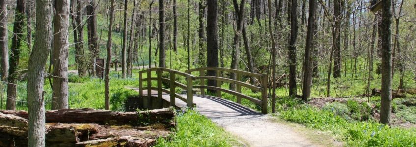 Hiking trail through the woods in the spring with bright green buds on the trees and a small walking bridge over a creek