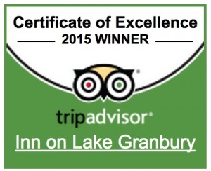 TripAdvisorCertExcellence2015Bigger